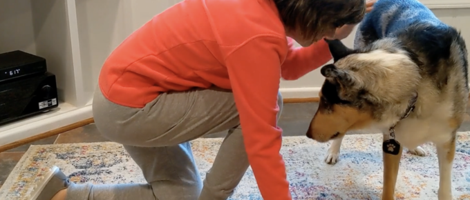 woman on the ground kneeling partially getting up next to a standing service dog